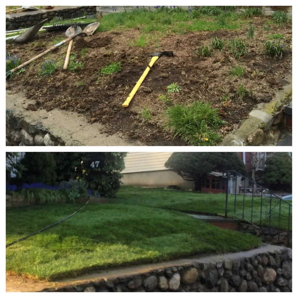 Affordable garden landscaping with custom design across West Roxbury, MA - Dr GreenThumb Landscaping