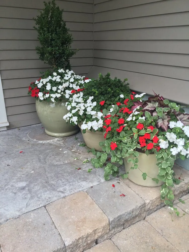 Professional landscaping services in West Roxbury, MA by Dr GreenThumb Landscaping