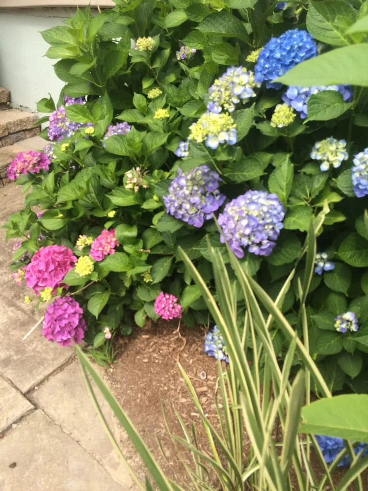 Expert residential landscaping experts serving West Roxbury, MA - Dr GreenThumb Landscaping