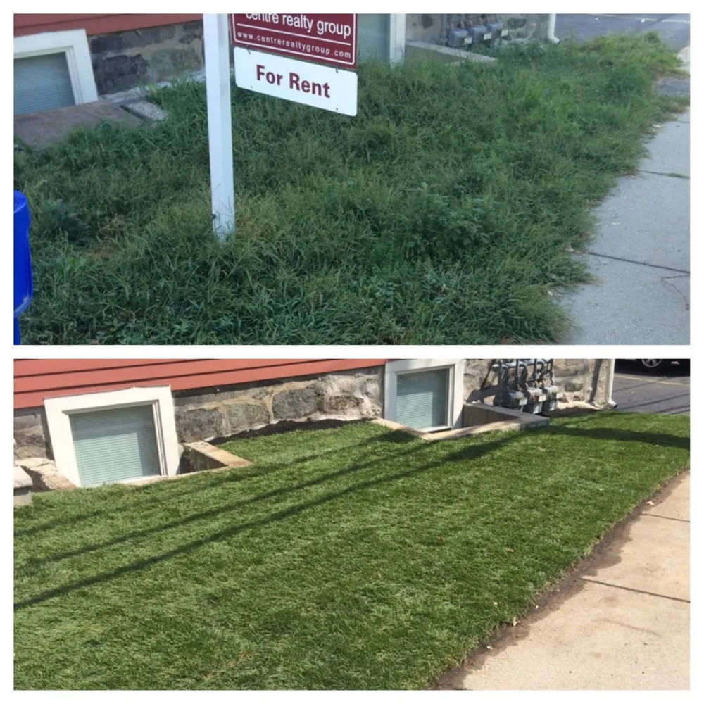 Expert garden landscaping in West Roxbury, MA by Dr GreenThumb Landscaping