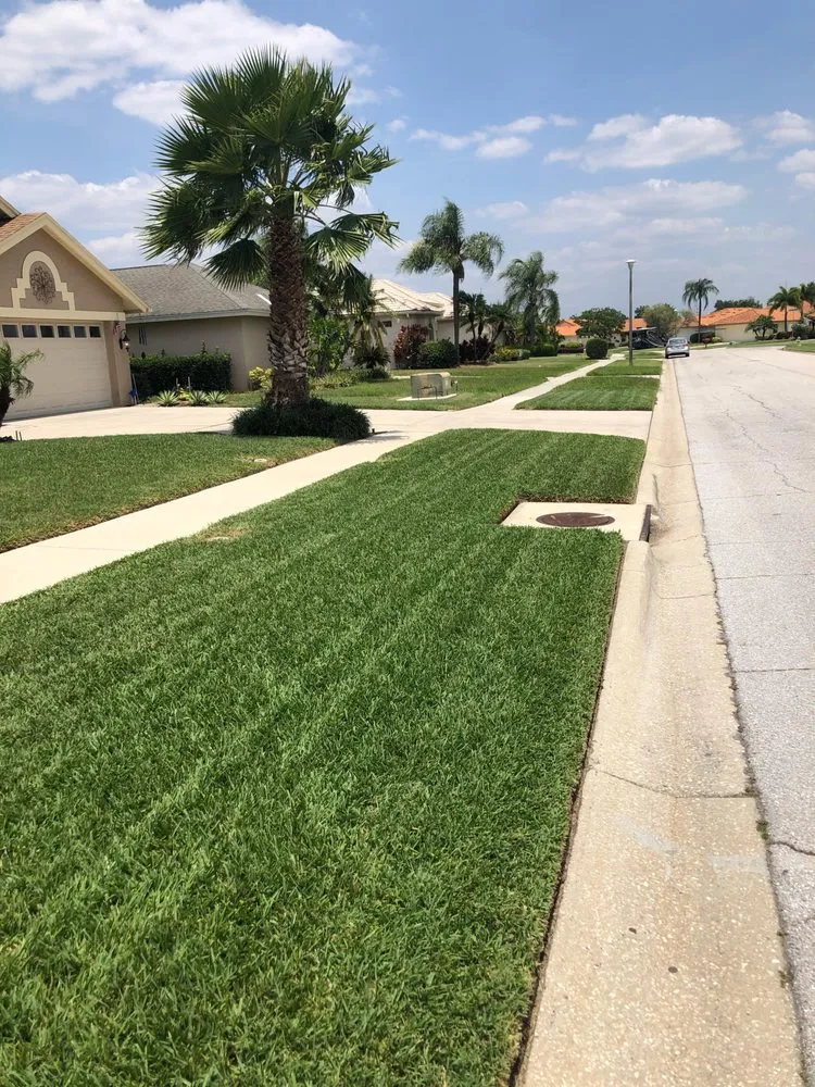 Reliable yard maintenance in Palmetto, FL - Dr. Greenthumb