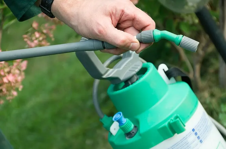 Affordable yard maintenance near you in Palmetto, FL by Dr. Greenthumb