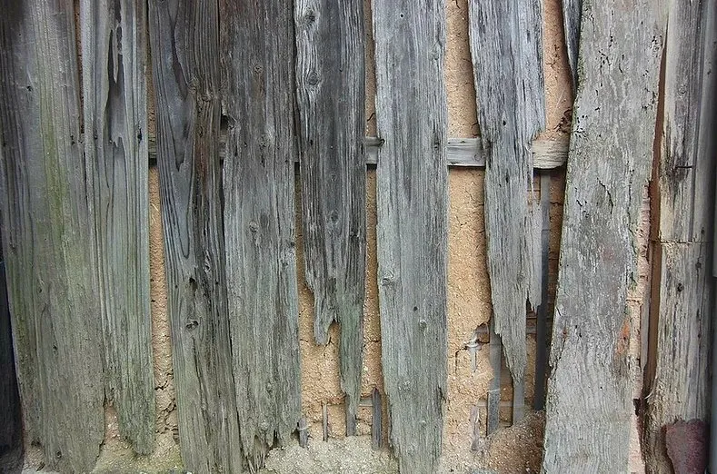 Top-rated garden landscaping with custom design in Palmetto, FL by Dr. Greenthumb