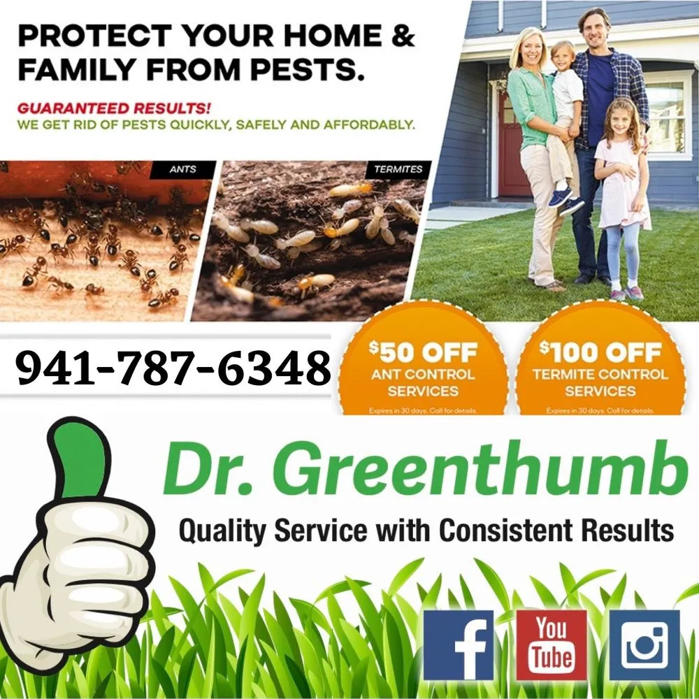 Top-rated residential landscaping in Palmetto, FL by Dr. Greenthumb