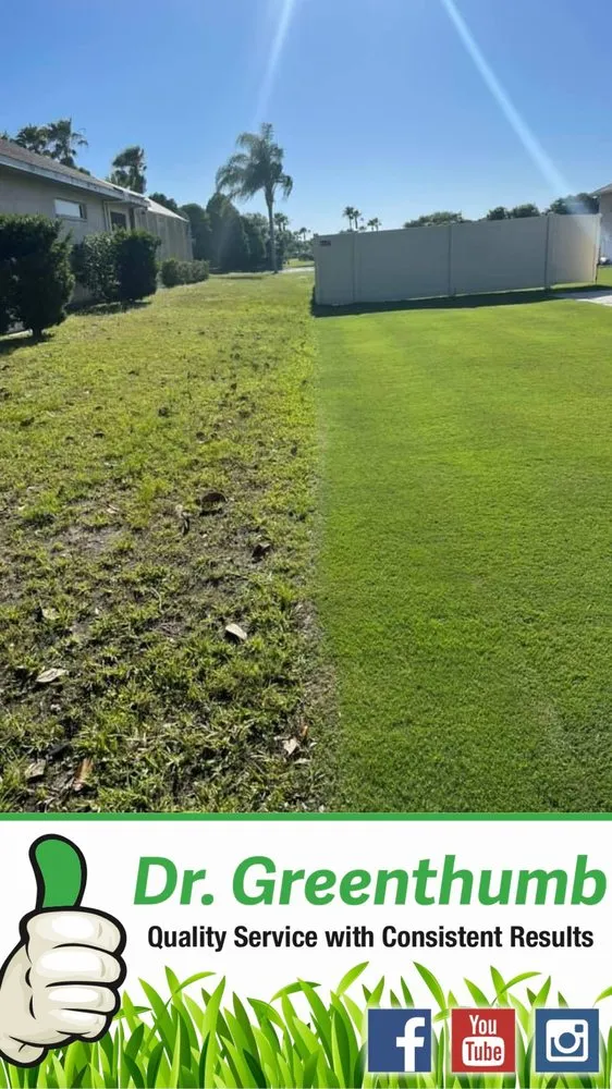 Professional lawn mowing service experts serving Palmetto, FL - Dr. Greenthumb