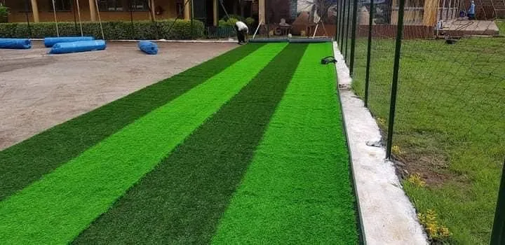 Professional landscaping services experts serving Palmetto, FL - Dr. Greenthumb