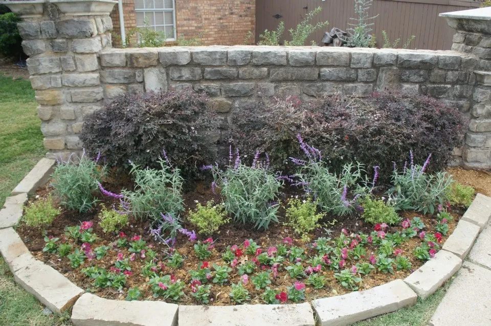 Affordable lawn care service in Coppell, TX by D&R Irrigation & Lighting