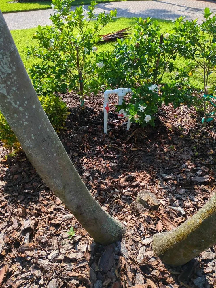 Trusted outdoor landscaping experts serving Plant City, FL - DR Irrigation