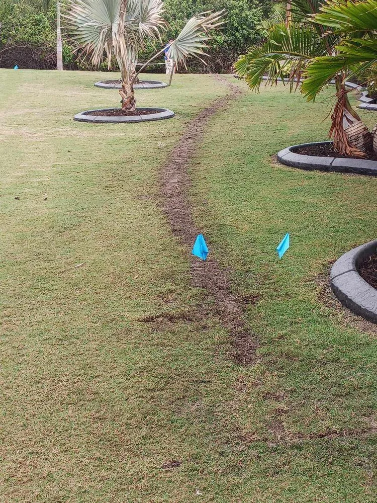 Local yard maintenance experts serving Plant City, FL - DR Irrigation