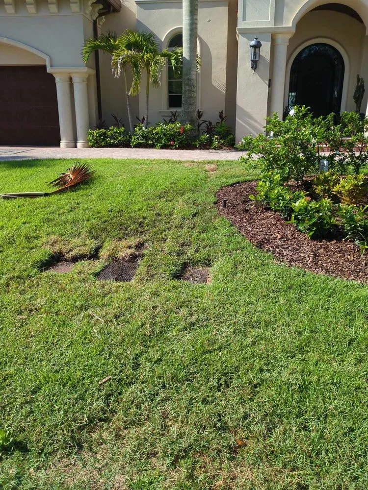 Reliable lawn care service with custom design in Plant City, FL by DR Irrigation