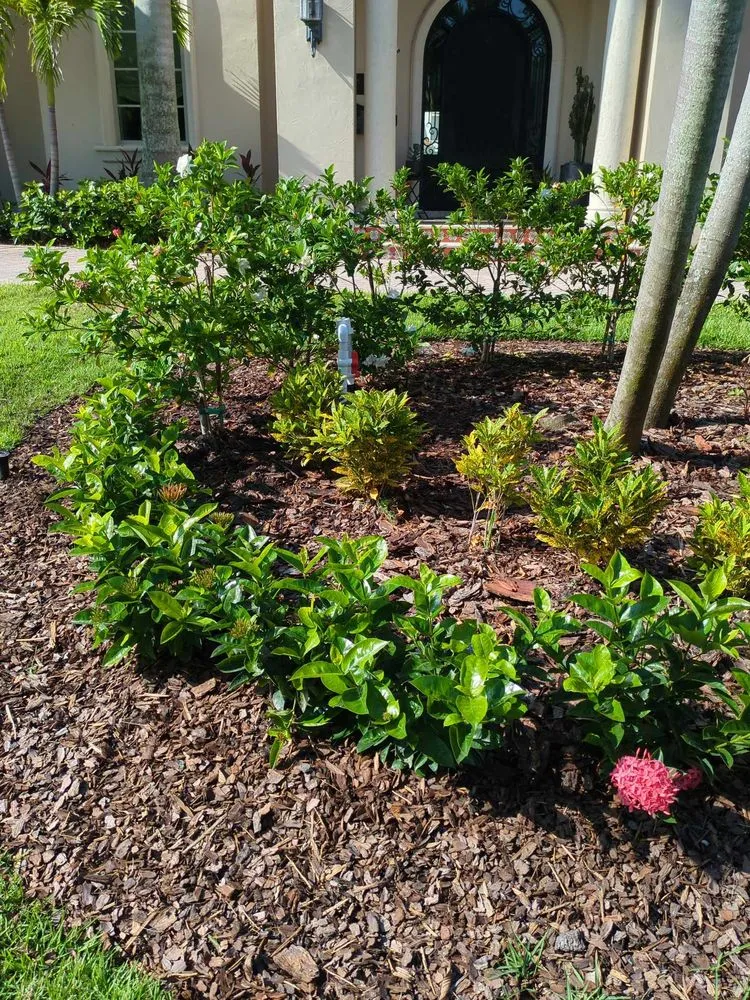 Expert residential landscaping in Plant City, FL by DR Irrigation