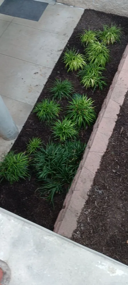 Reliable outdoor landscaping in Mansfield, TX by DR Landcare