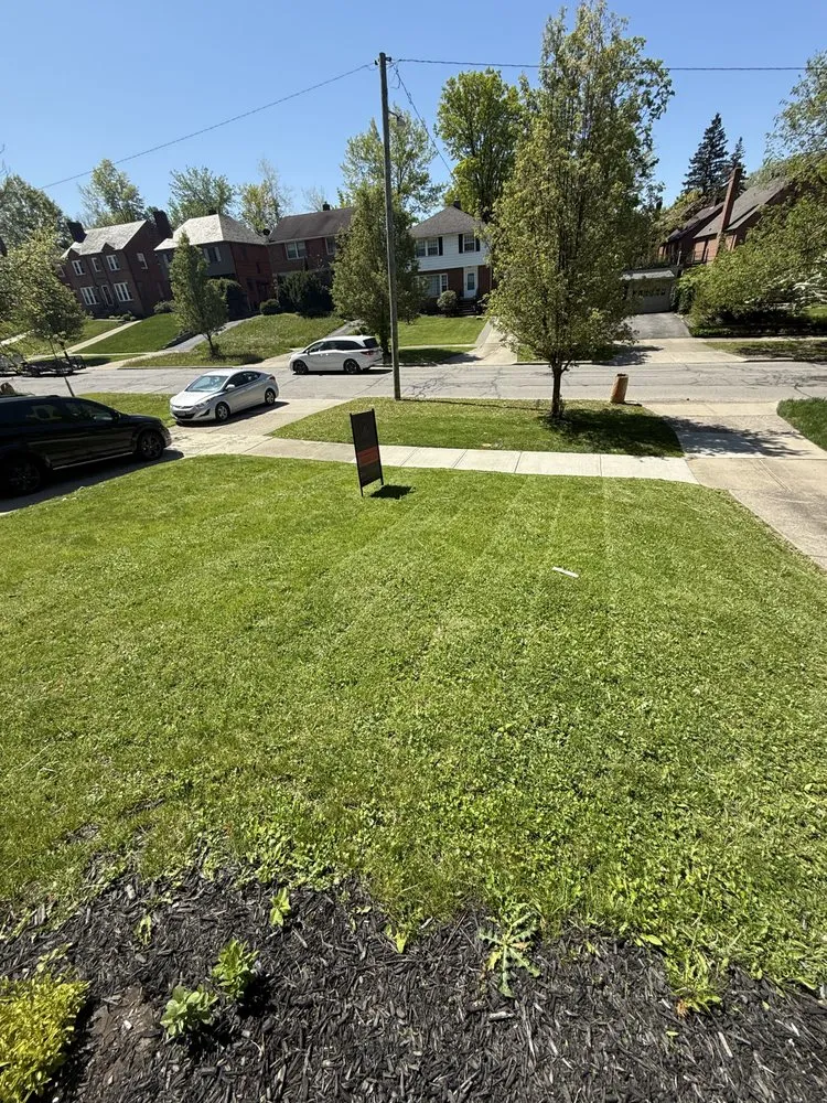 Custom yard cleanup service in University Heights, OH by DR Landscape