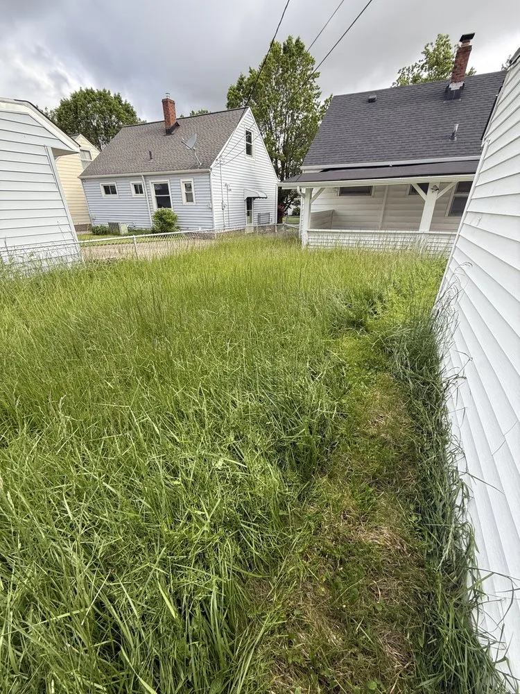 Reliable landscape design near you in University Heights, OH by DR Landscape