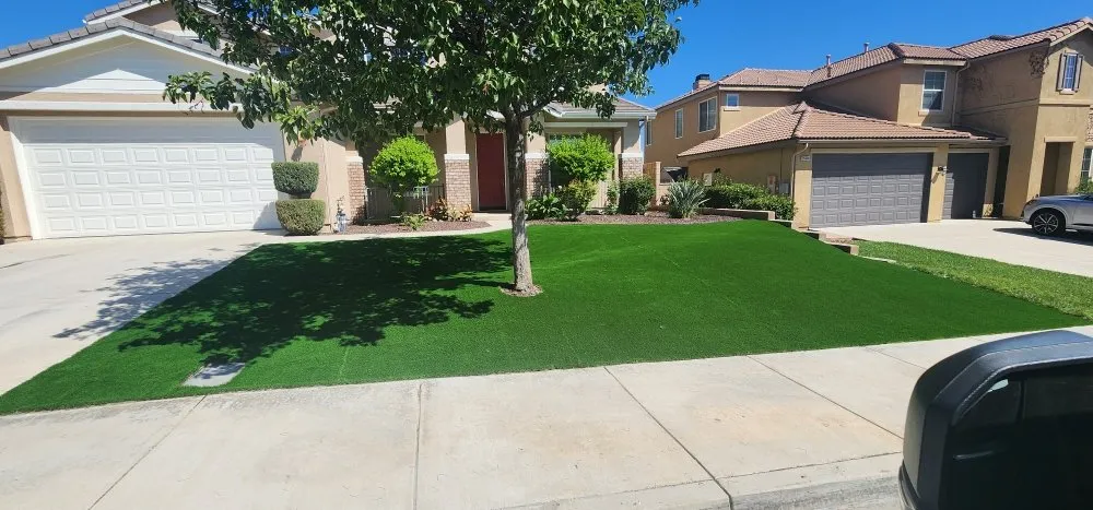 Trusted yard cleanup service in Lake Elsinore, CA - D&R Landscaping and More