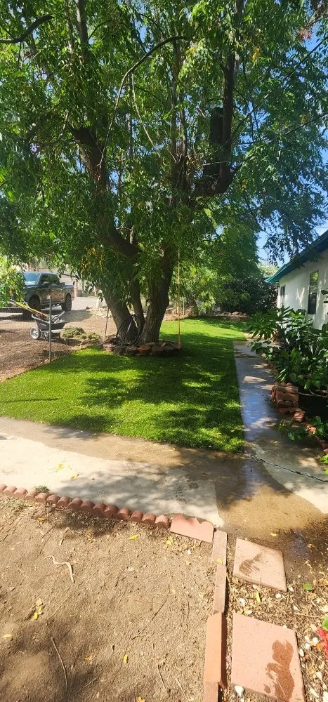 Reliable yard maintenance in Lake Elsinore, CA by D&R Landscaping and More