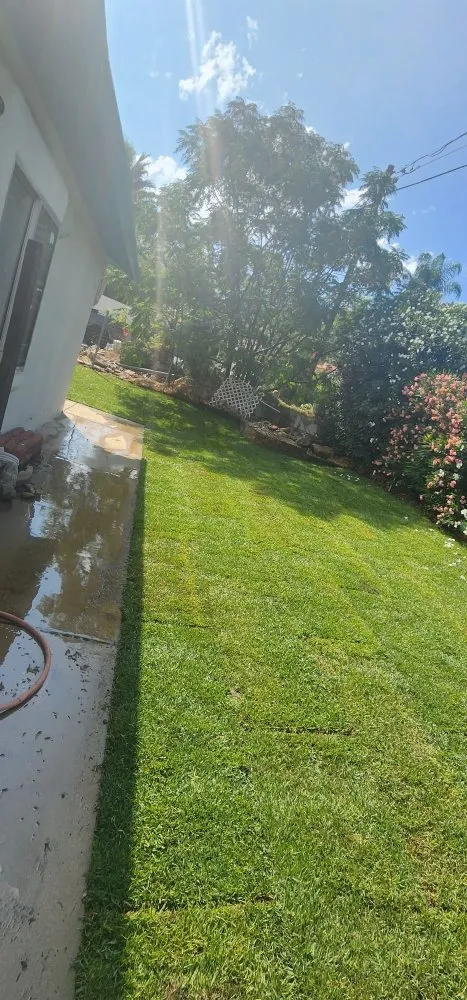 Reliable lawn mowing service for beautiful yards across Lake Elsinore, CA - D&R Landscaping and More