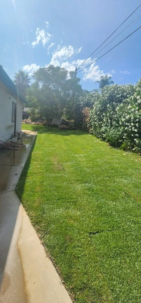 Custom lawn care service experts serving Lake Elsinore, CA - D&R Landscaping and More