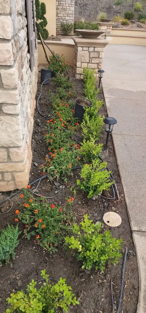 Local landscape installation in Lake Elsinore, CA by D&R Landscaping and More