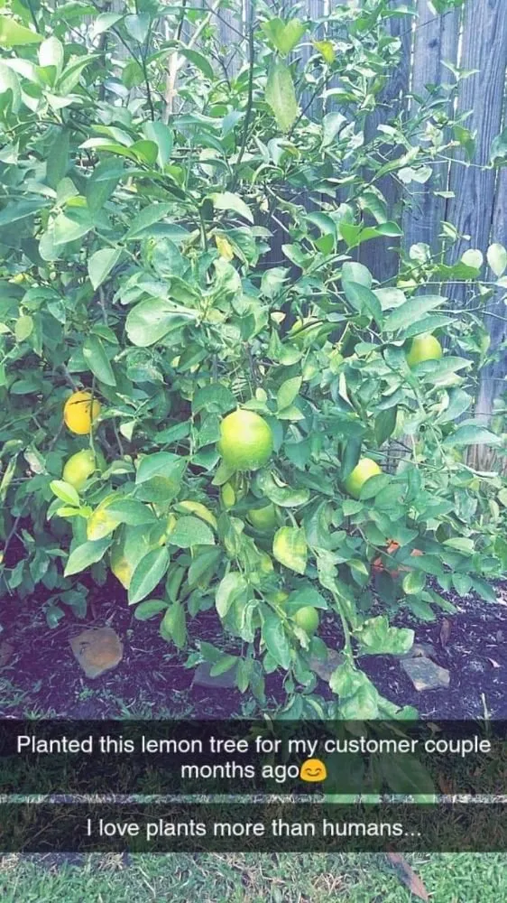 Custom yard maintenance near you across Houston, TX - D.R. Landscaping