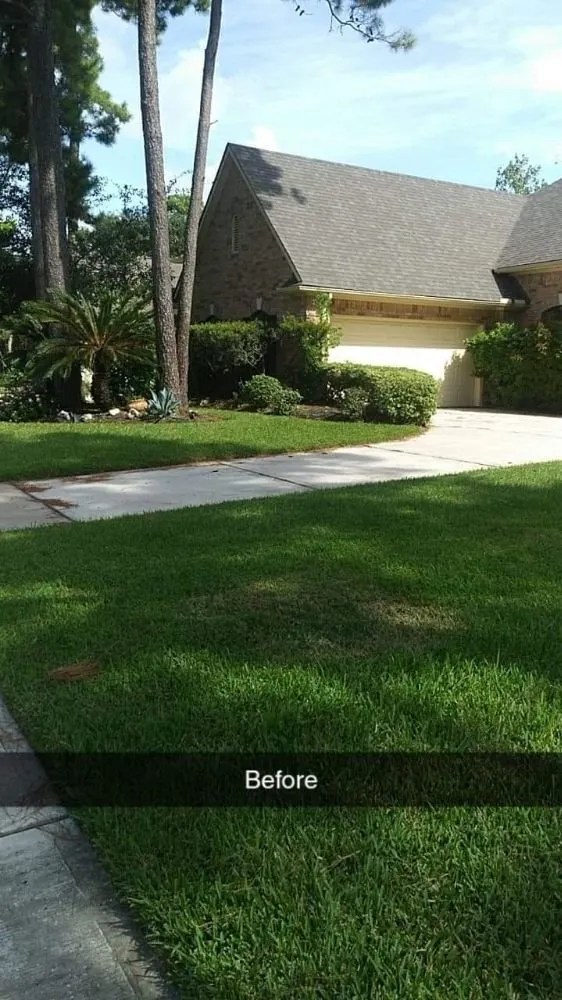 Expert lawn mowing service in Houston, TX - D.R. Landscaping
