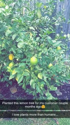 D.R. Landscaping Logo