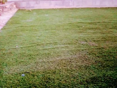 Expert yard maintenance in Kingman, AZ by DR Landscaping