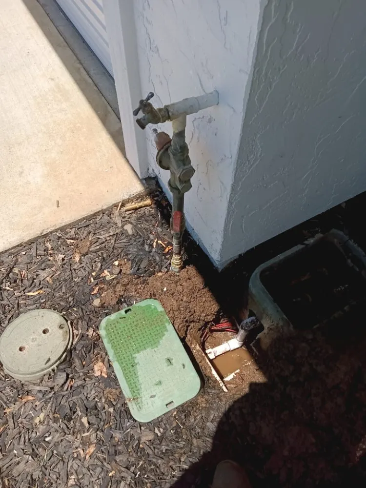 Reliable yard cleanup service for homes across Gilroy, CA - DR Landscaping Maintenance Services