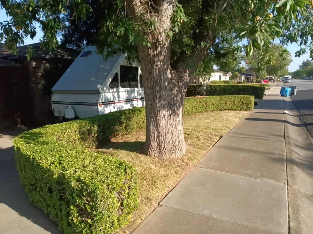 Trusted landscaping services in Gilroy, CA by DR Landscaping Maintenance Services