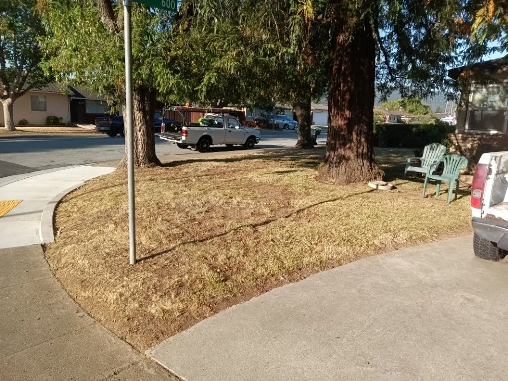 Custom garden landscaping in Gilroy, CA - DR Landscaping Maintenance Services