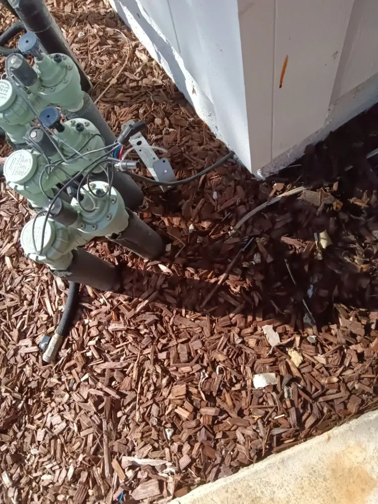 Affordable yard maintenance experts serving Gilroy, CA - DR Landscaping Maintenance Services