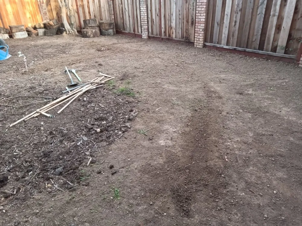 Reliable lawn mowing service in Gilroy, CA - DR Landscaping Maintenance Services