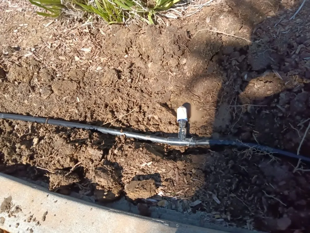 Custom outdoor landscaping near you across Gilroy, CA - DR Landscaping Maintenance Services