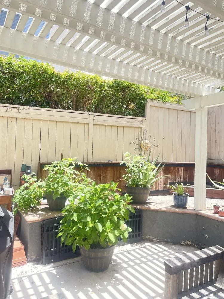 Custom lawn care service for year-round maintenance across Newport Beach, CA - Dr Landscaping