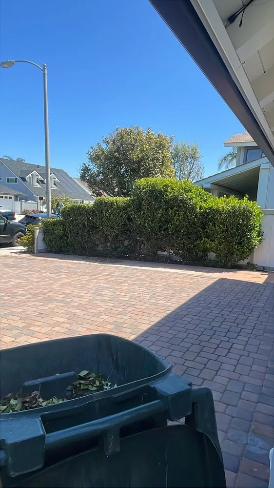 Local garden landscaping in Newport Beach, CA - Dr Landscaping