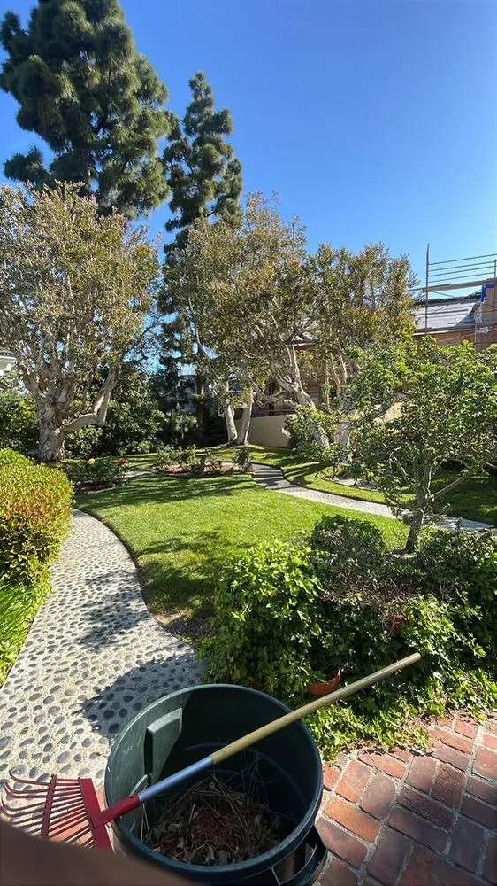 Custom residential landscaping near you in Newport Beach, CA by Dr Landscaping