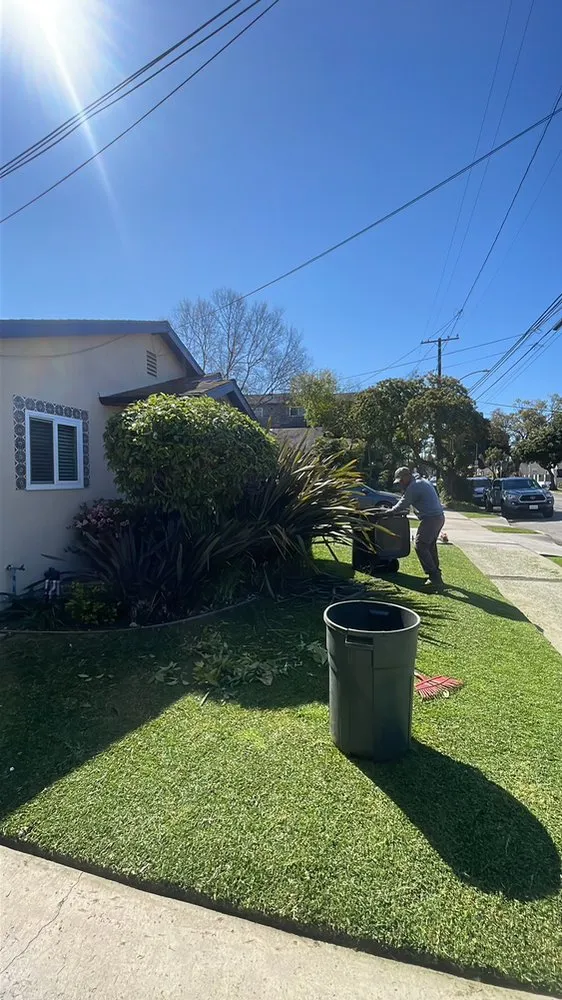 Top-rated lawn care service for year-round maintenance in Newport Beach, CA by Dr Landscaping