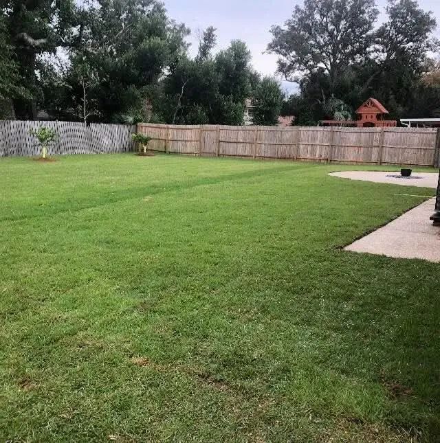 Reliable outdoor landscaping for outdoor upgrades in Florala, AL by D&R Landscaping Solutions