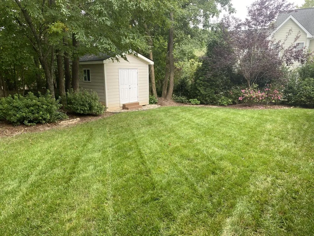 Expert lawn care service in Clayton, NC - DR Lawn Care & Firewood Services