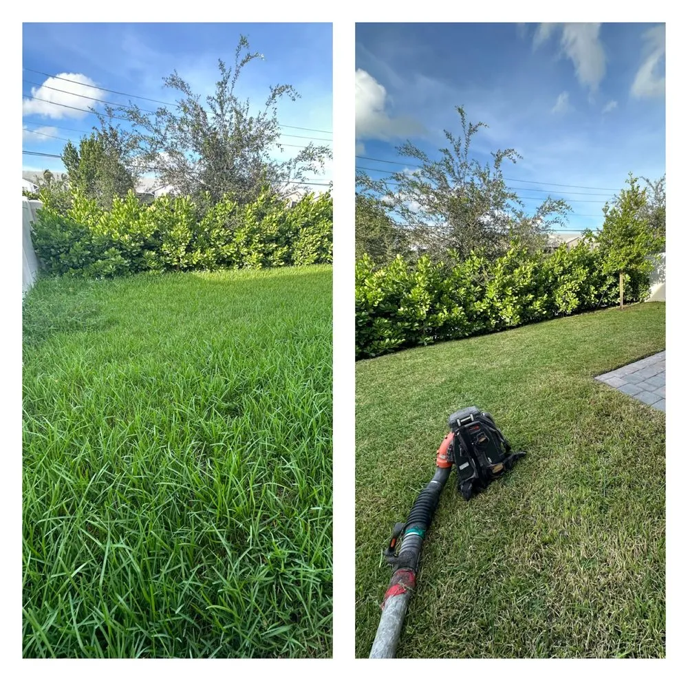 Professional landscape installation in Homestead, FL by D&R Lawn Care And Landscape