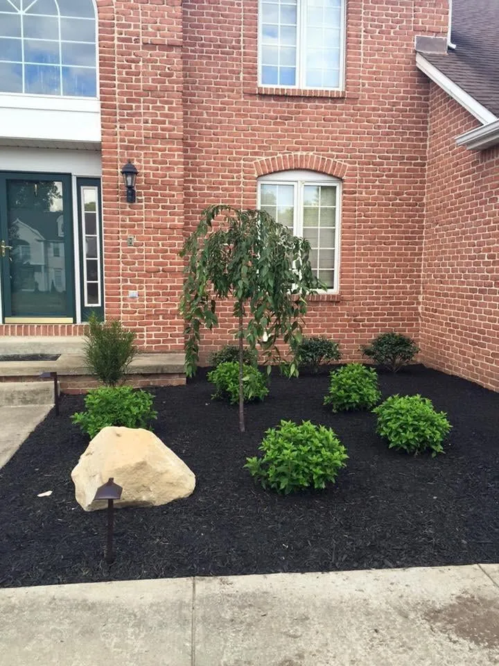Local yard cleanup service in Mineral Ridge, OH - DR Lawn Care And Landscaping