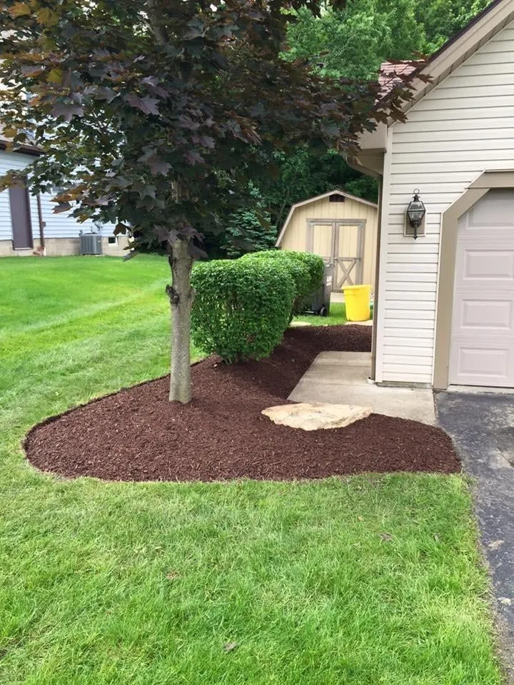 Expert lawn care service experts serving Mineral Ridge, OH - DR Lawn Care And Landscaping