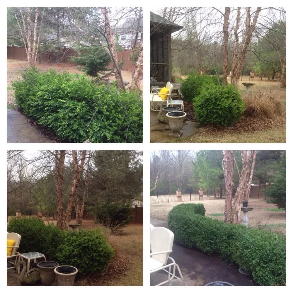 Reliable landscape design experts serving Harrison, AR - D&R Lawn Care