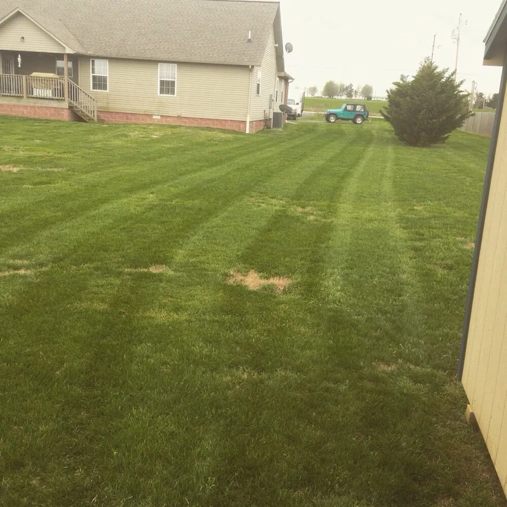 Reliable lawn mowing service in Harrison, AR - D&R Lawn Care