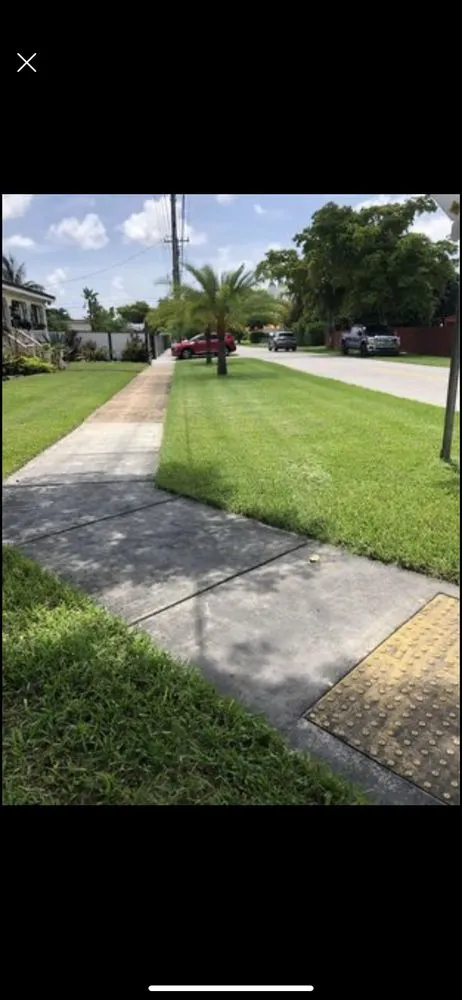 Expert landscape design in Miami, FL - D&R Lawn Care Service