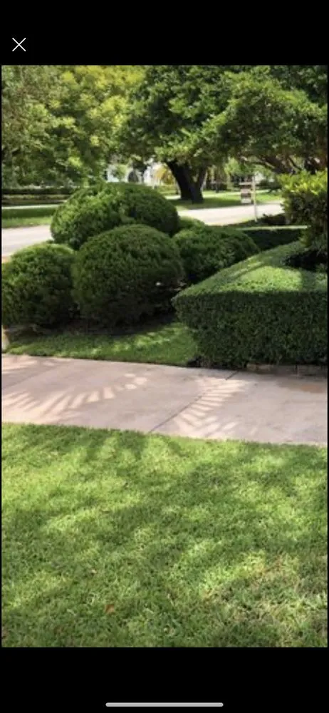 Top-rated outdoor landscaping experts serving Miami, FL - D&R Lawn Care Service