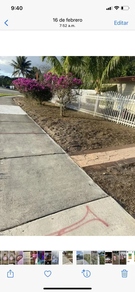 Reliable outdoor landscaping for residential properties in Miami, FL by D&R Lawn Care Service