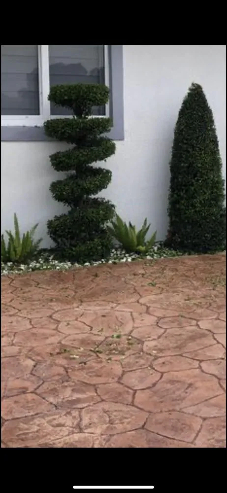 Local lawn mowing service in Miami, FL by D&R Lawn Care Service