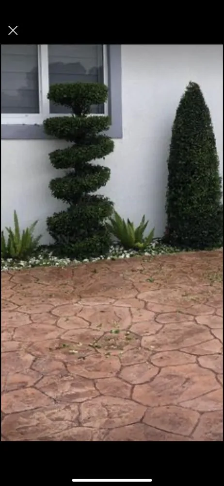 Trusted lawn mowing service in Miami, FL by D&R Lawn Care Service