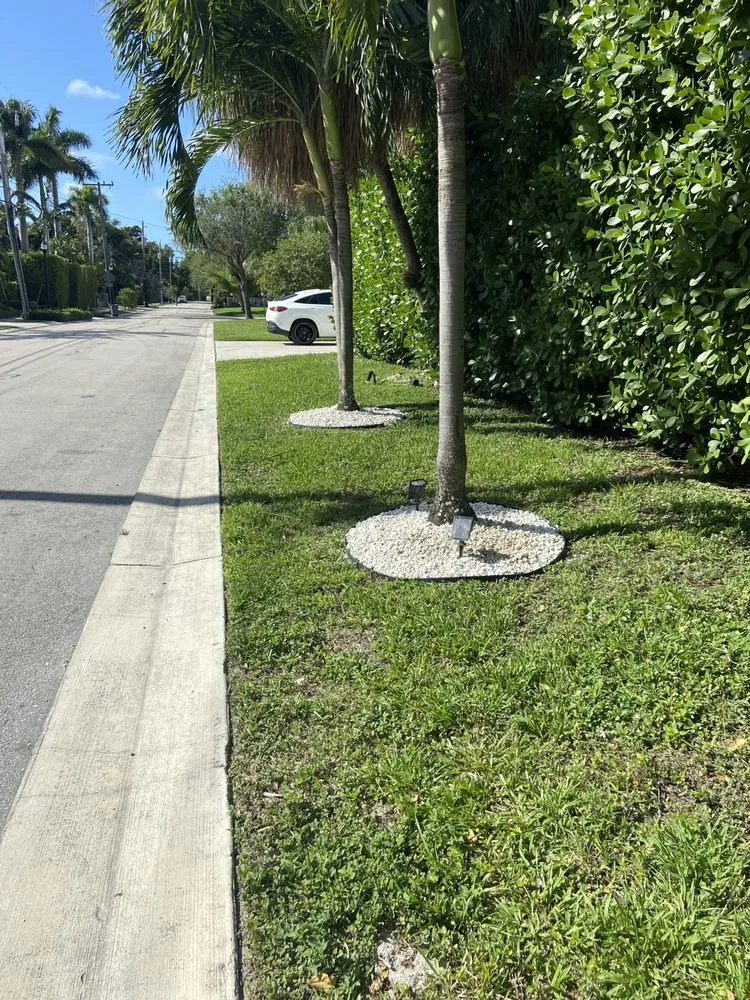 Trusted yard maintenance in Miami, FL - D&R Lawn Care Service